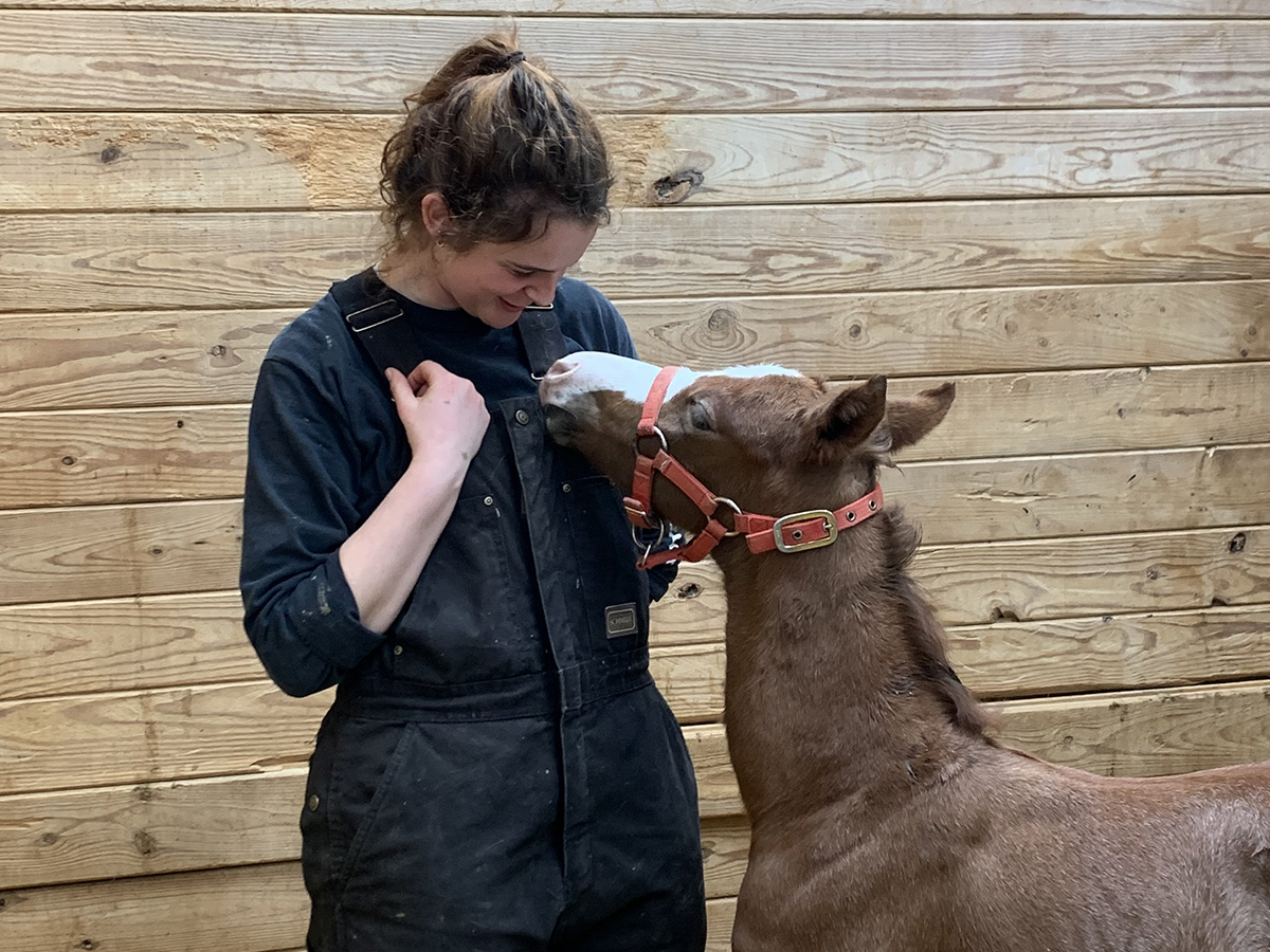 Services at Harris Paint Horses