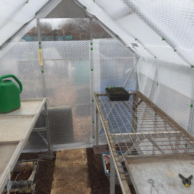 Bubblewrap Insulation for Greenhouses by Harrod Horticultural