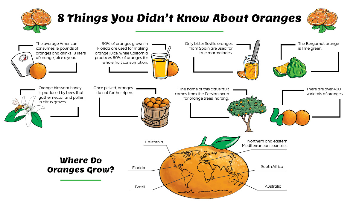 Guide to Oranges Oranges History The Table by Harry & David