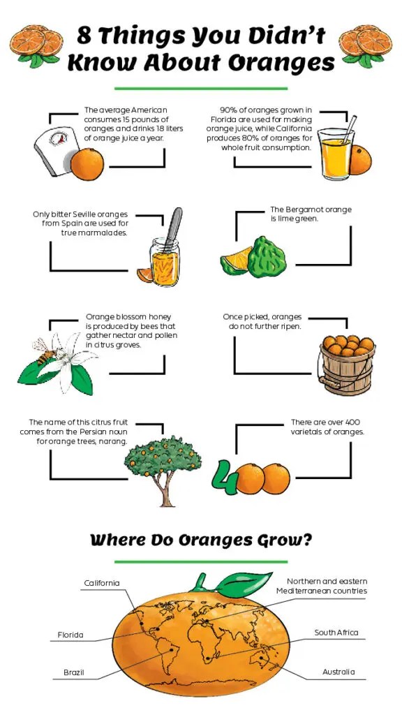 Guide to Oranges Oranges History The Table by Harry & David