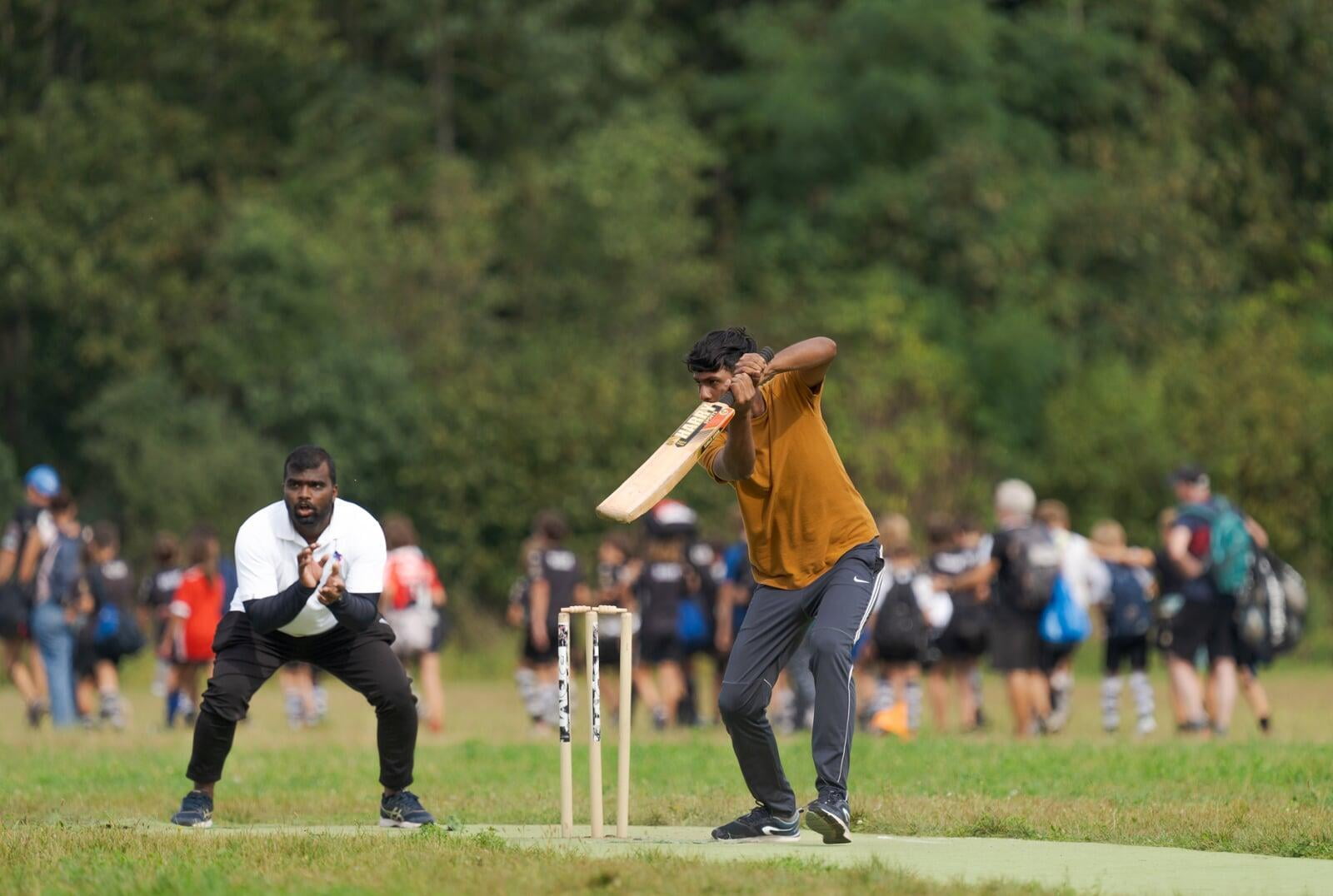 How to Choose the Best Kashmir Willow Bat for Leather BallKashmir