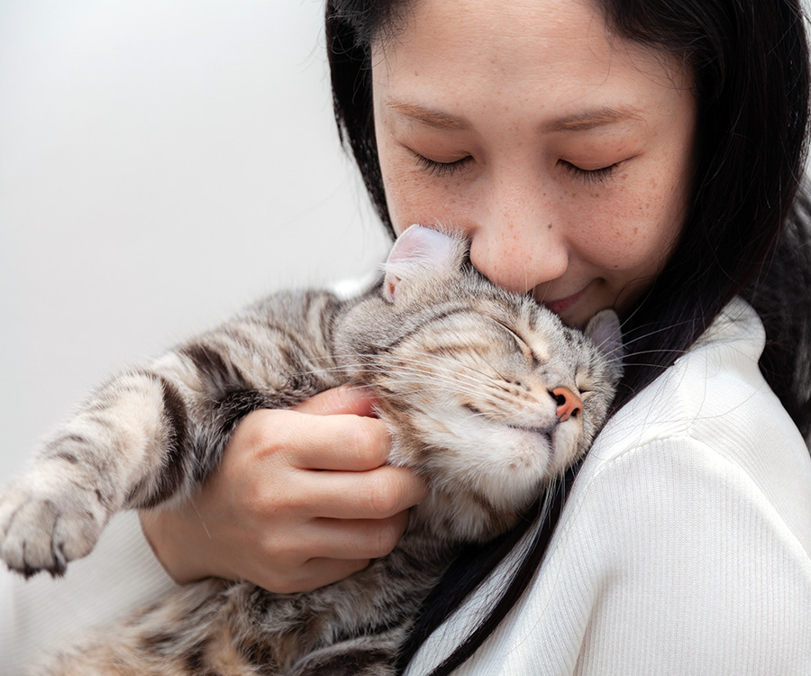How to Bond with Your Cat Hartz