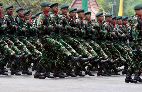 Tugas TNI Beserta Fungsi dan Peran TNI (Tentara Nasional Indonesia)