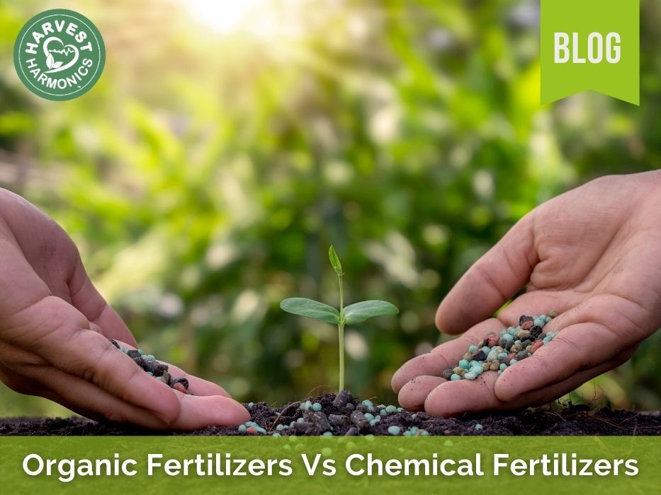 Organic Fertilizers Vs Chemical Fertilizers Harvest Harmonics