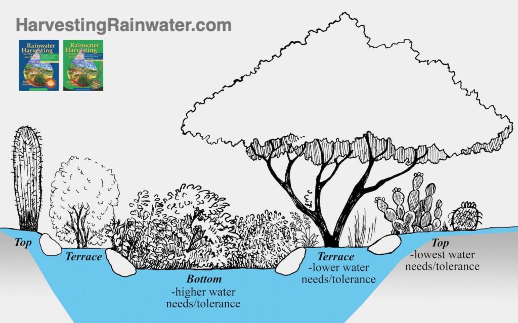Raingarden planting zones Rainwater Harvesting for Drylands and