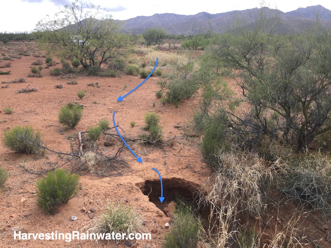 Shifting dehydrating, degrading ephemeral water channels to better