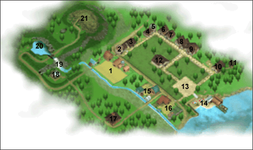Misc Harvest Moon Back to Nature Guide