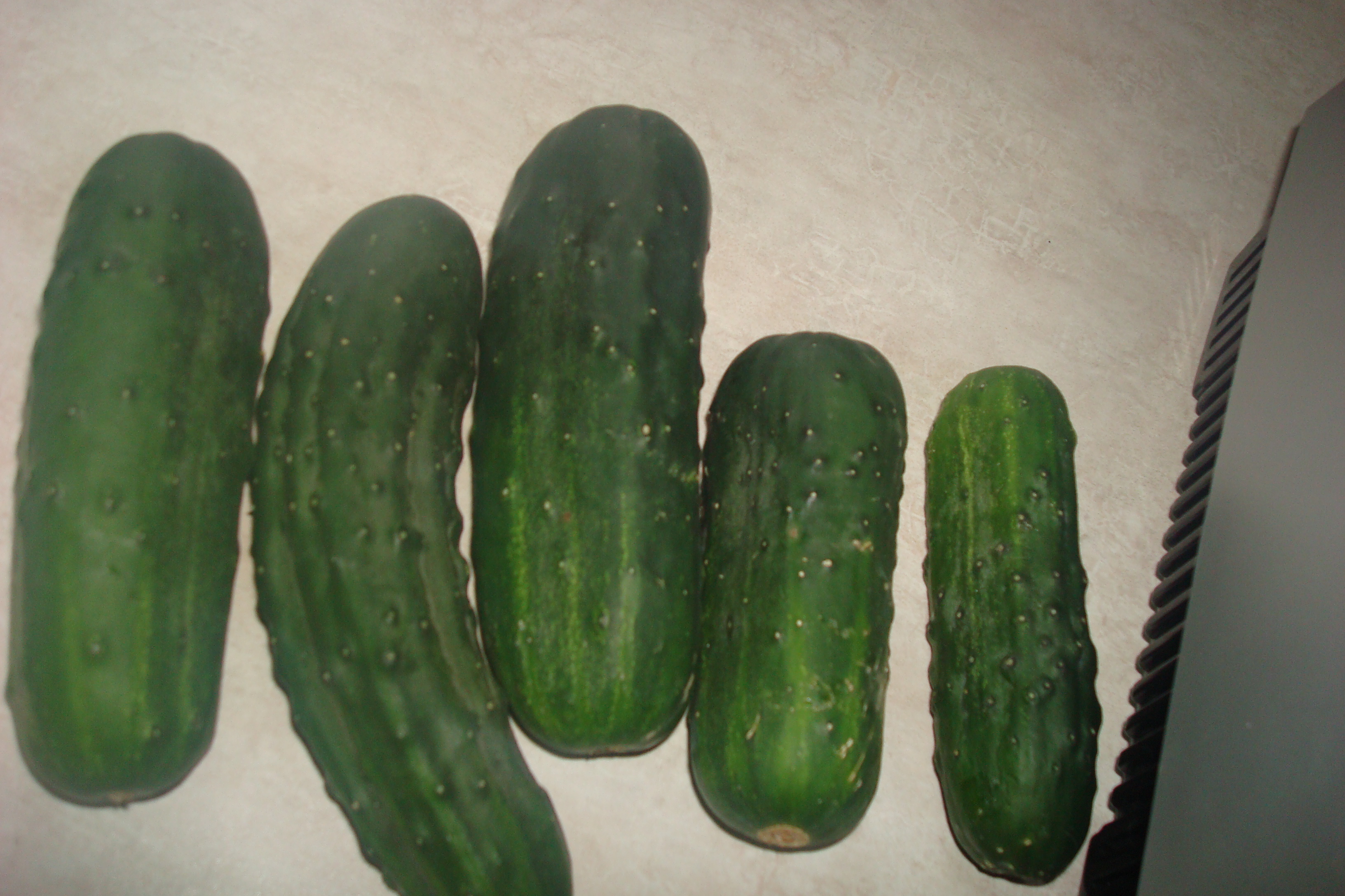 The Harvest Patch » Blog Archive » Vinegar Cucumbers
