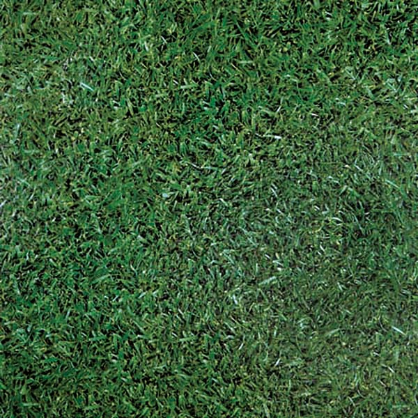 Vinyl Flooring That Looks Like Grass Flooring Guide by Cinvex
