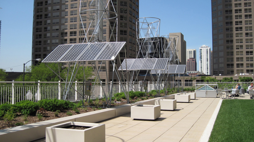 How Do Rooftop Gardens Promote Sustainability Expert Insights