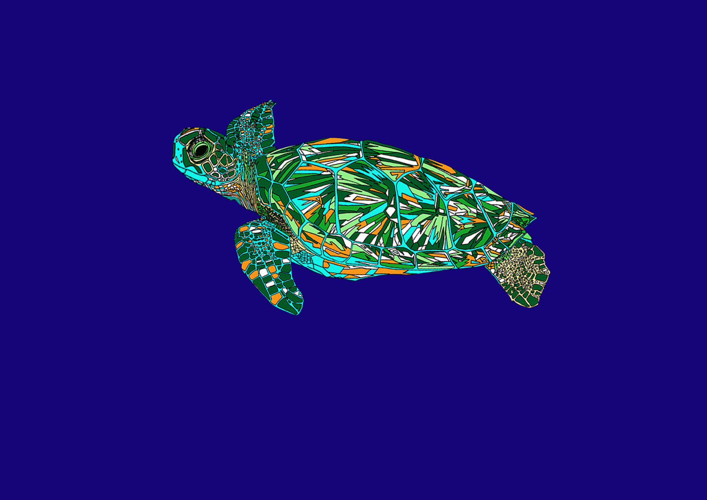 Turtleanimationswim Hatched Art