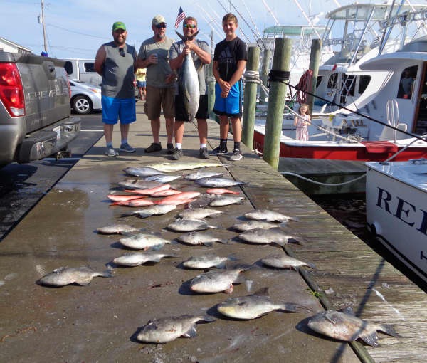 Hatteras Harbor Fishing Reports