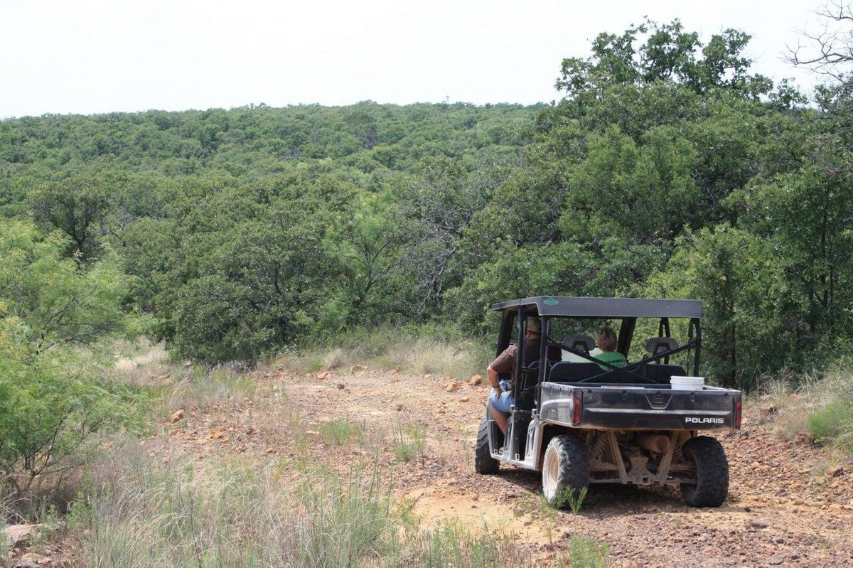 Texas Hunting Photos