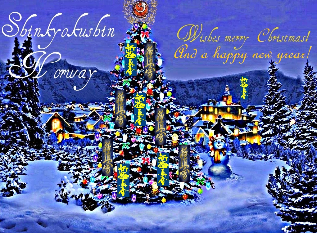 Shinkyokushin Norway Wishes you a happy new year 2014! ThunderWeb
