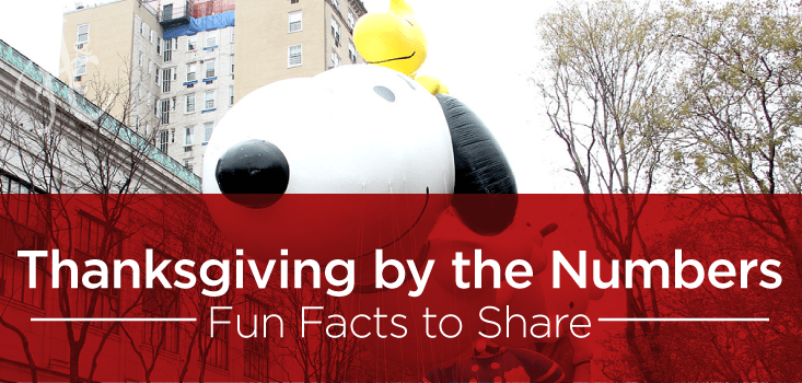 Thanksgiving by the Numbers
