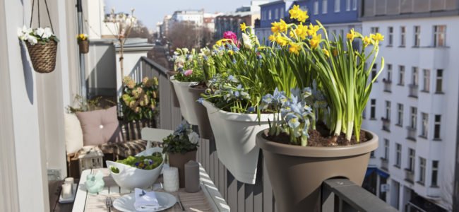 Balkonpflanzen Fur Den Schatten Gruner Balkon Trotz Schattigem Standort