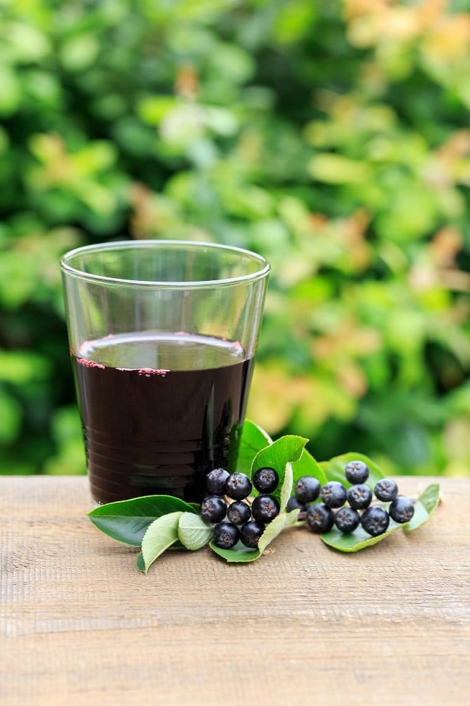 Aroniabeeren verarbeiten Rezepte für frische & Aroniabeeren