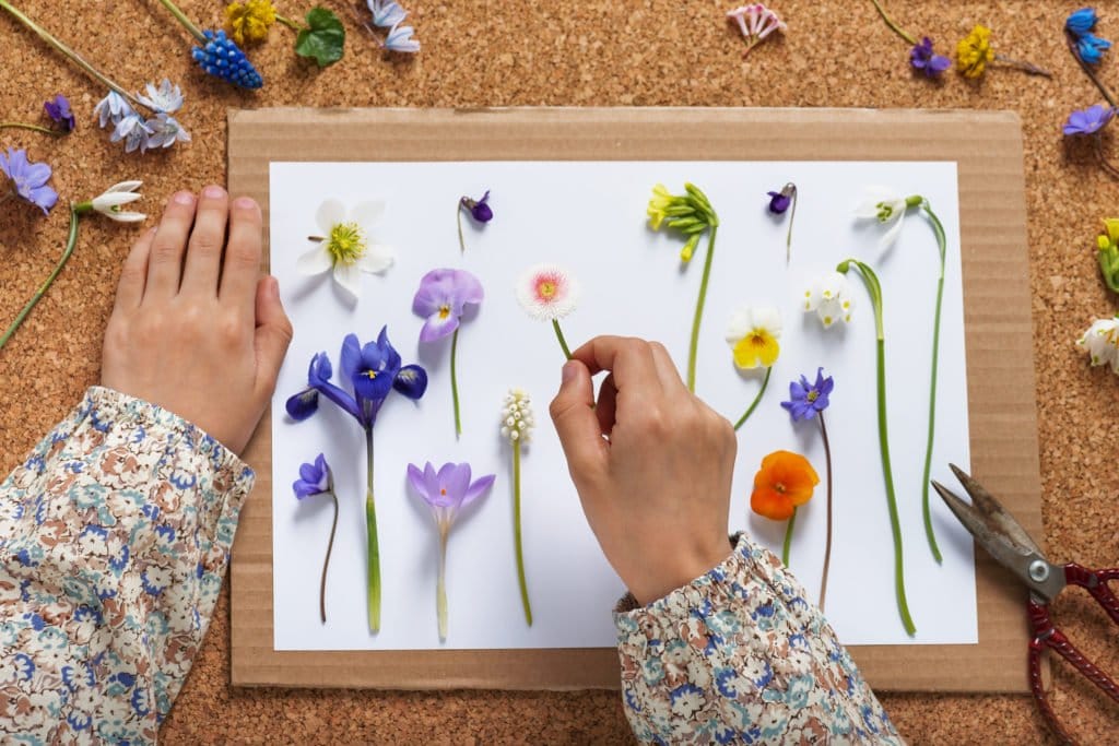 Blumen Trocknen Wie Lange Über Blumen