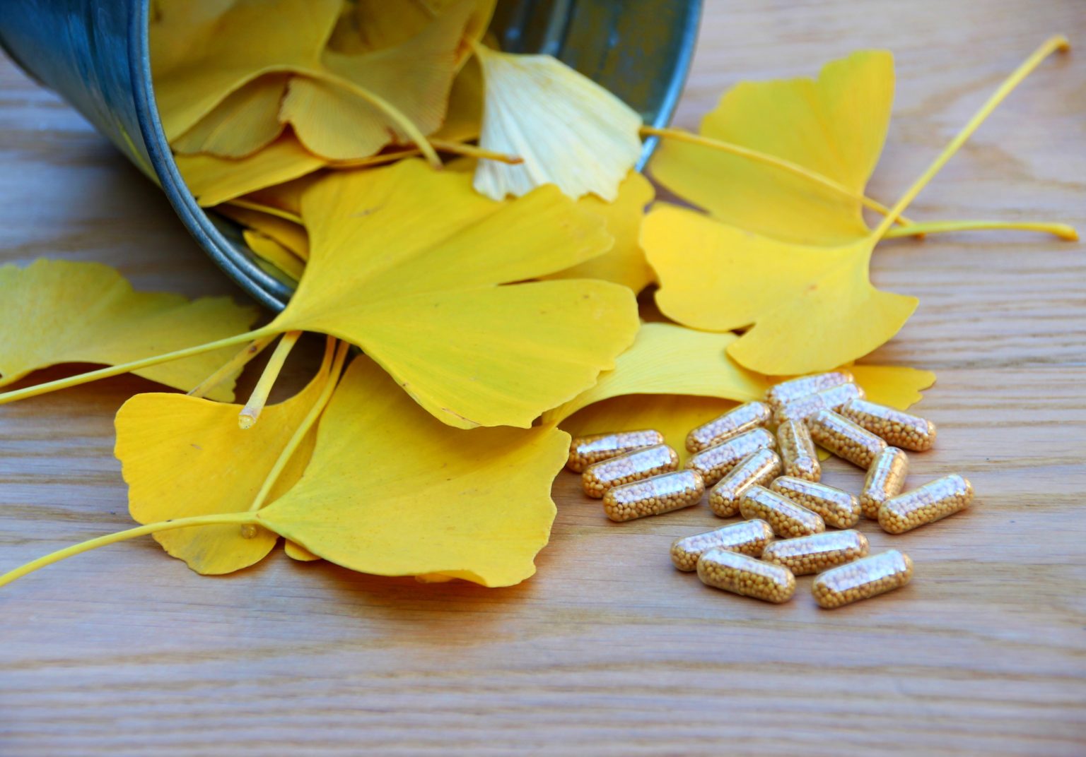 GinkgoTabletten Test » Die besten Modelle für 2024 im Vergleich