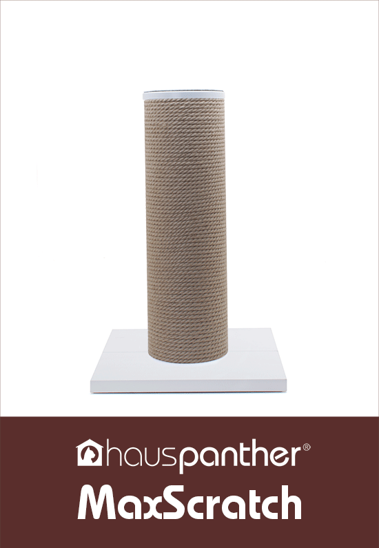 NEW! MaxScratch Gigantic Cat Scratcher with Builtin Perch Now Available! • hauspanther