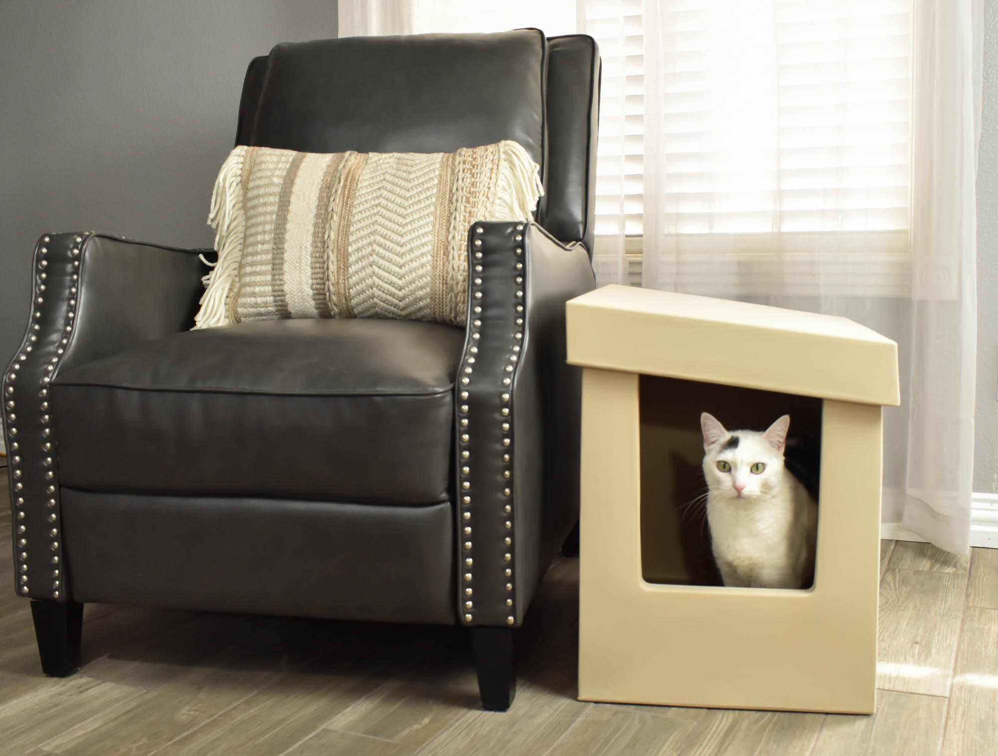 Kitangle Seamless Covered Litter Boxes Now Made in the USA! Plus New