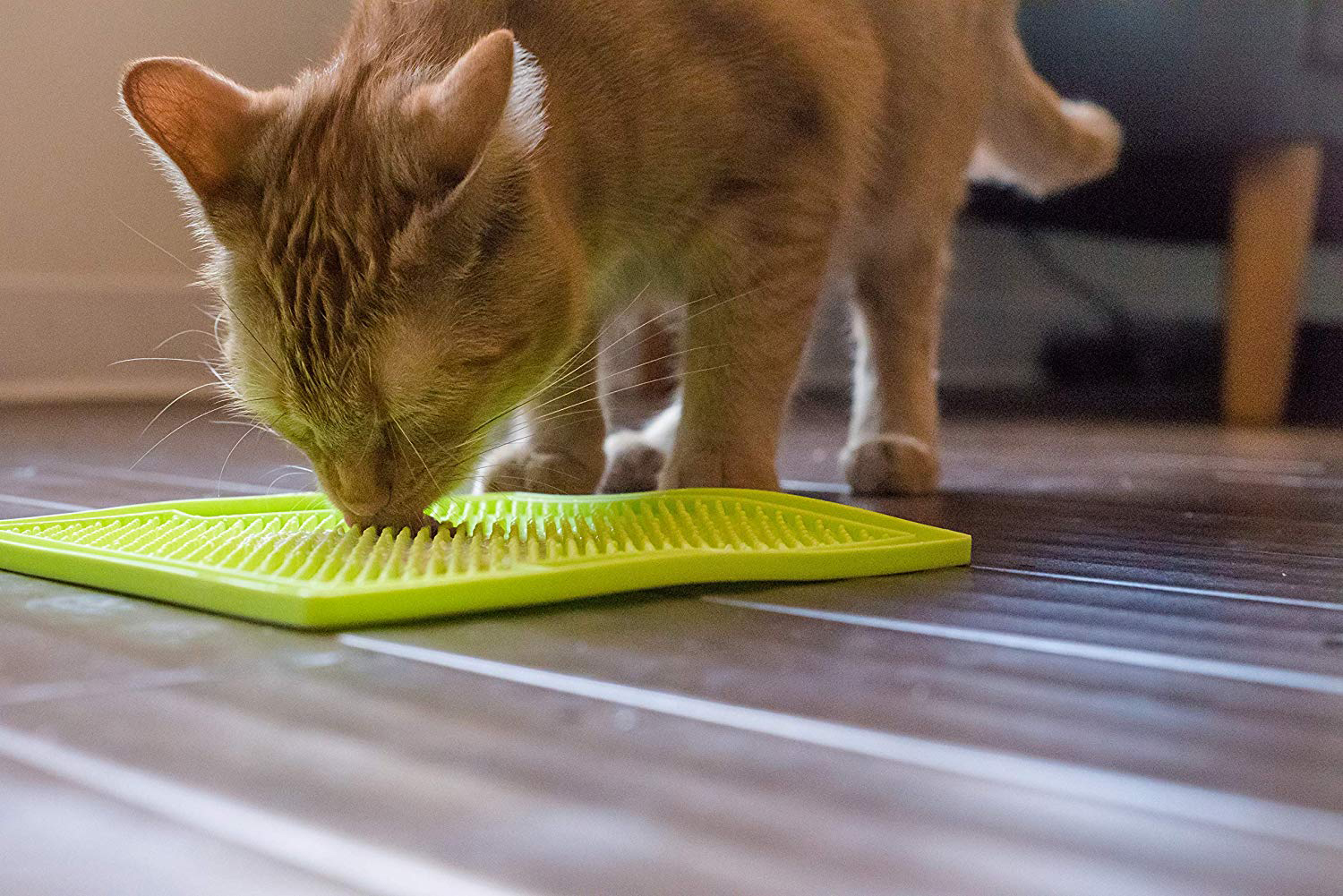 LickiMat A New Way to Soothe Your Cat • hauspanther