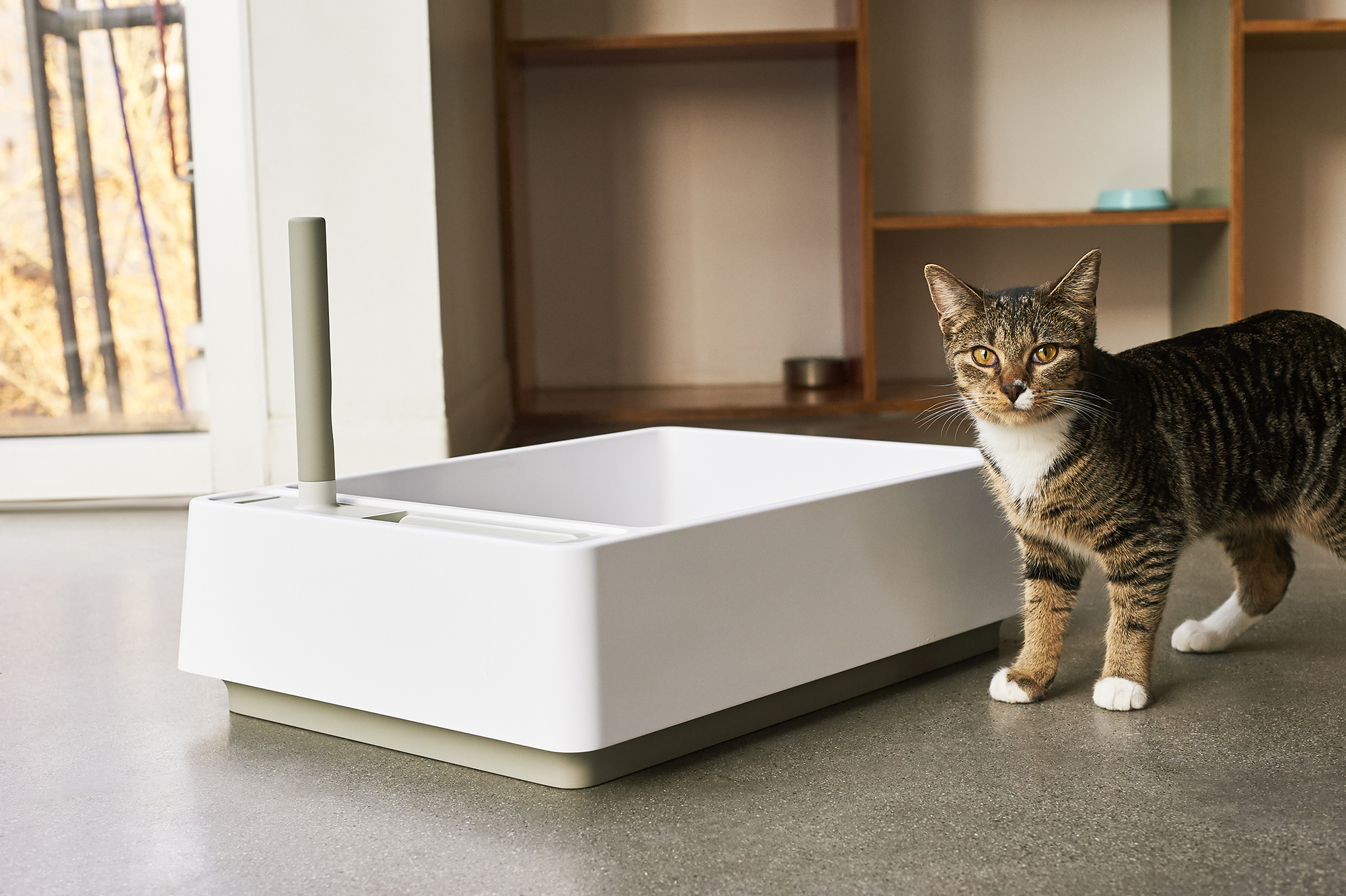 Modern Cat Designs Litter Box Interior Design Ideas