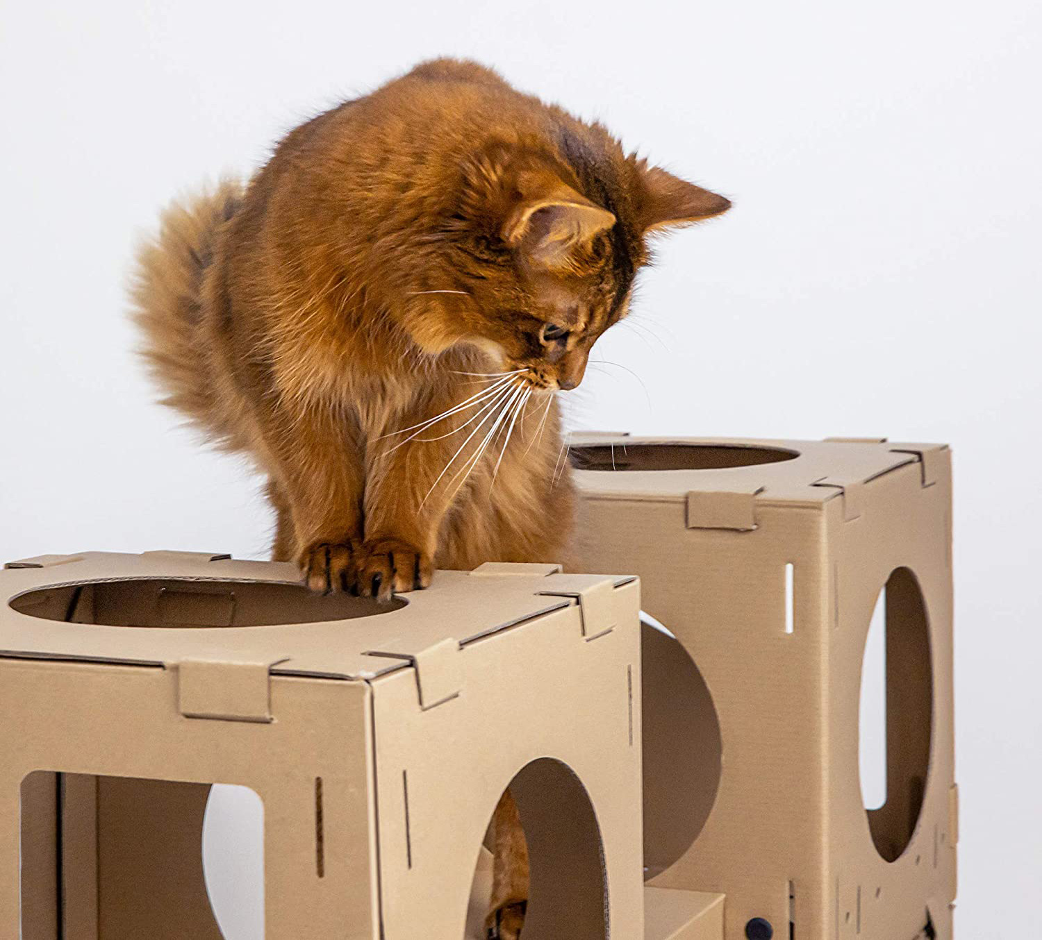 Modern Modular Cardboard Cat House • hauspanther