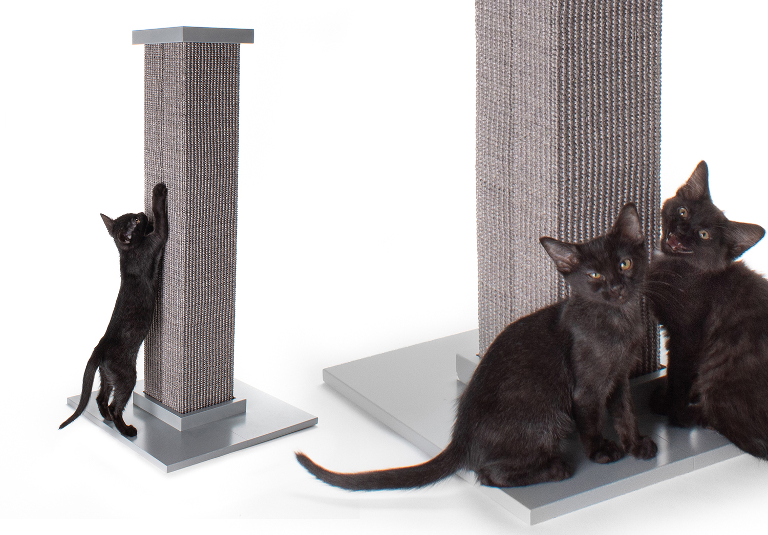 SmartCat Ultimate Scratching Post Stands the Test of Time • hauspanther