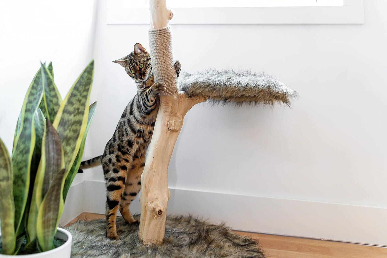 Modern Natural Wood Cat Trees from Mau Lifestyle • hauspanther