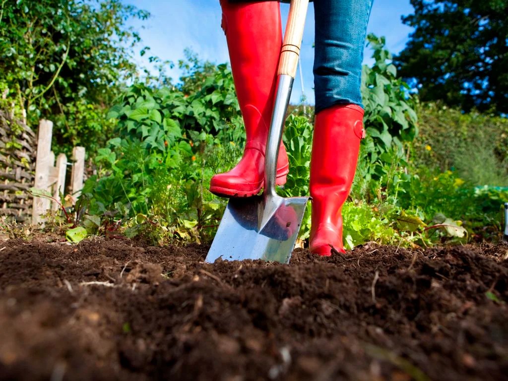 Tips for Using Manure in the Garden Haute Life Hub