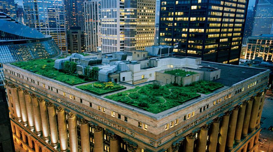 Designs Done Well Chicagoâ€™s City Hall Rooftop Garden