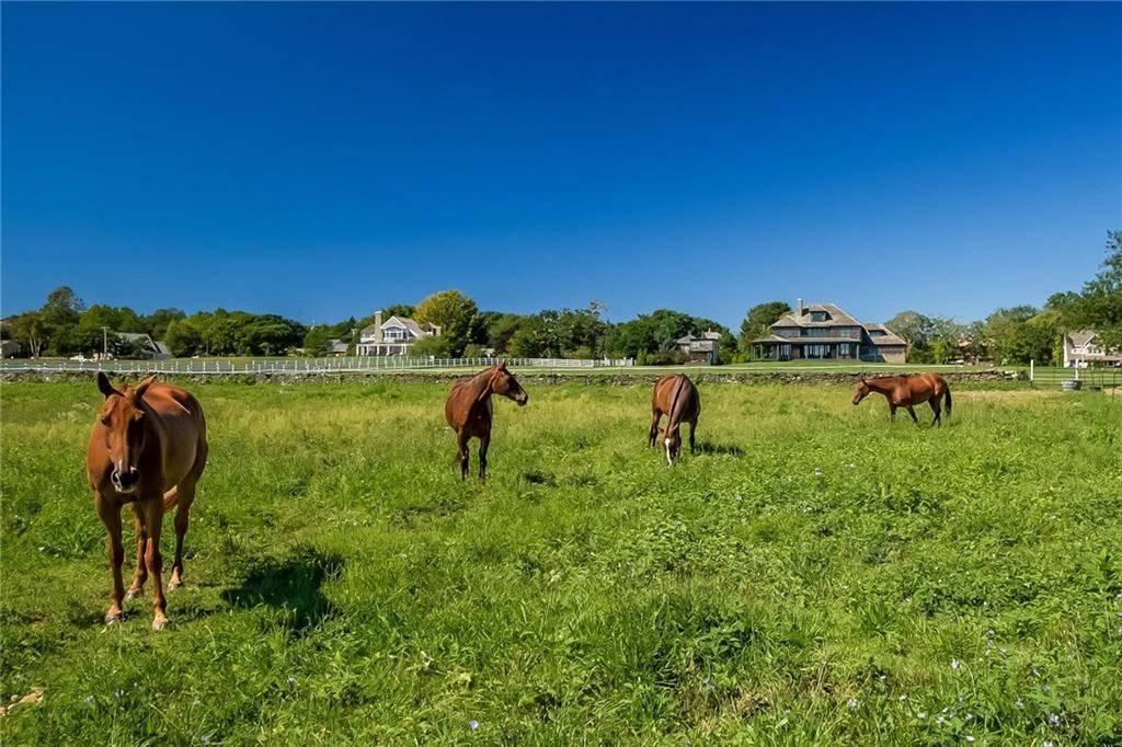 Play The Field By Living In These Luxurious Equestrian Estates Haute
