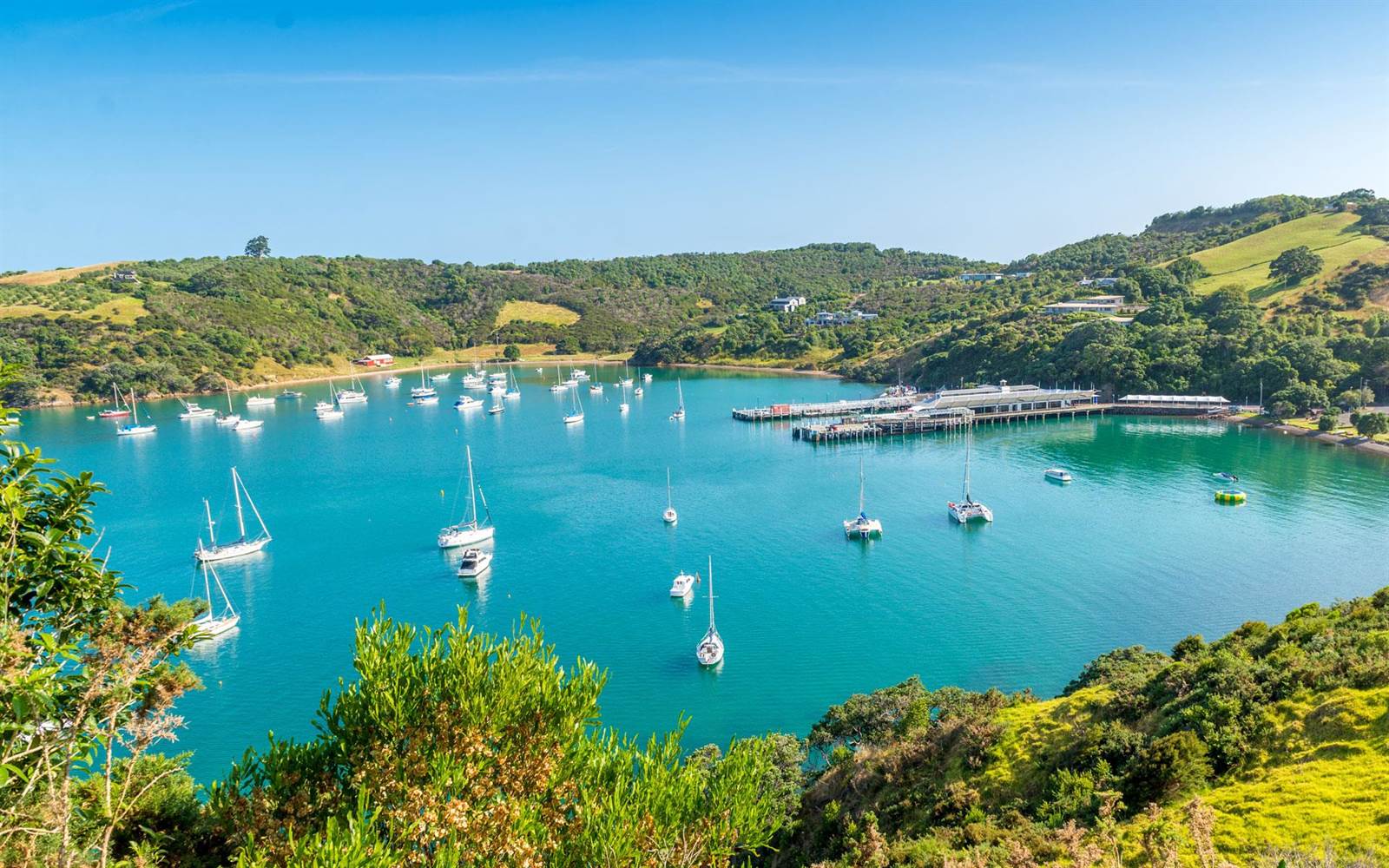 Top Three Reasons To Live In New Zealand Haute Residence by Haute Living