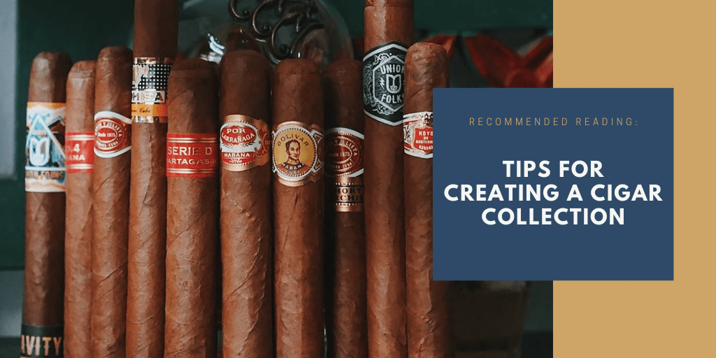 The Top 11 Most Expensive Cigars in the World Havana House