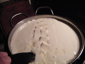 Basic Principles of Home Cheese Making