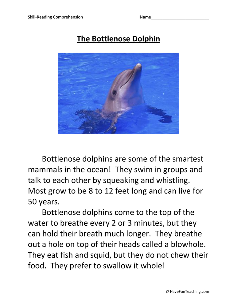 The Bottlenose Dolphin Reading Comprehension Worksheet