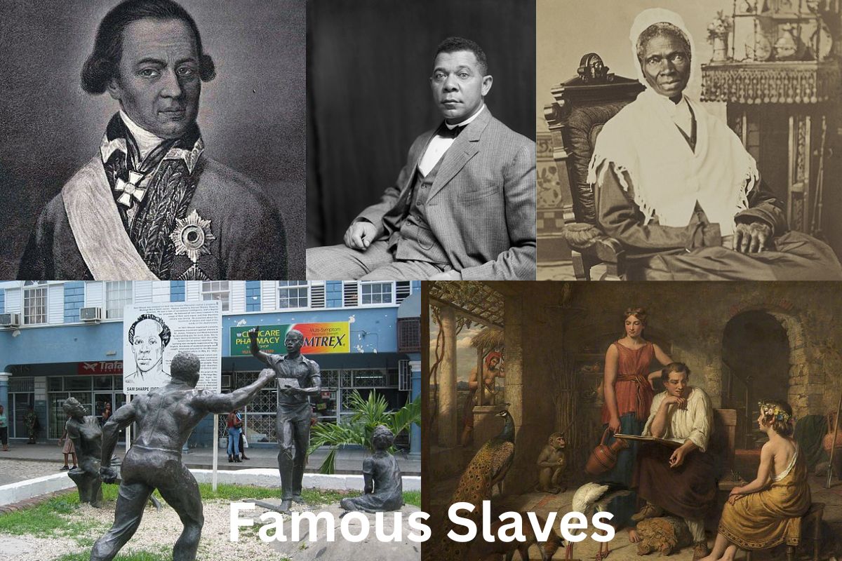 13 Most Famous Slaves Have Fun With History