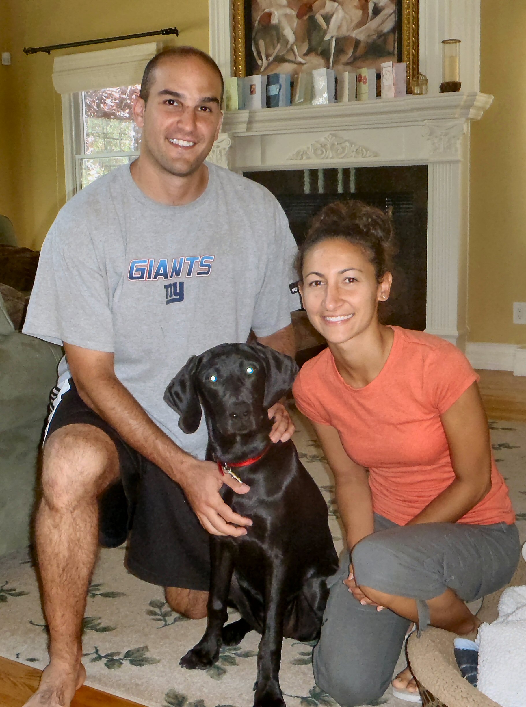 Get Started With Puppy Or Dog Training On Long Island Have Leash Will Train