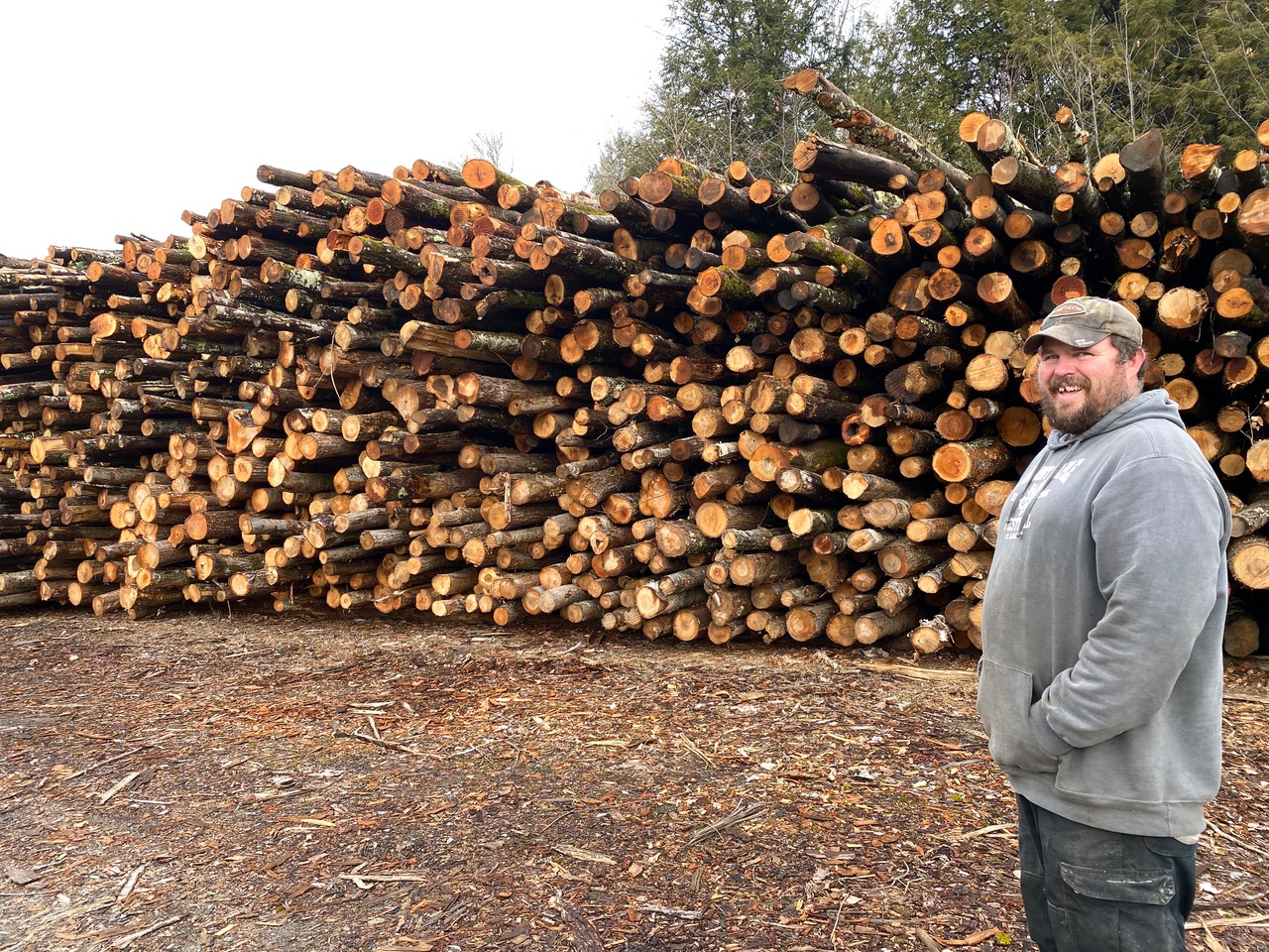 This where we get our stove wood. I don’t think he is going to run out