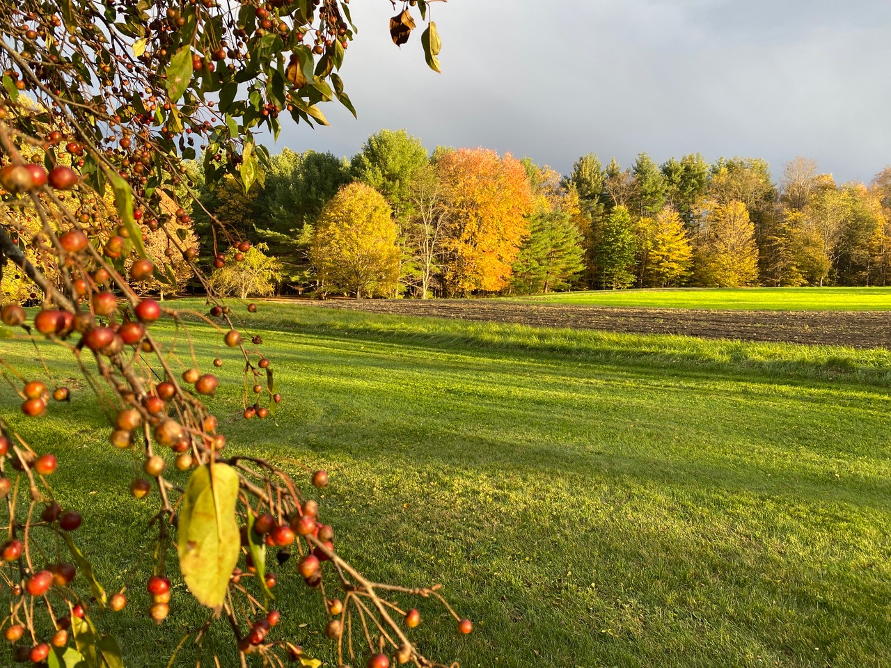 Backyard sun. Haven Farm