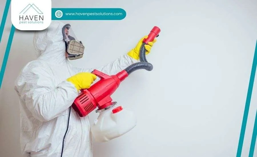 Cockroach Prevention 5 Expert Tips You Need to Know