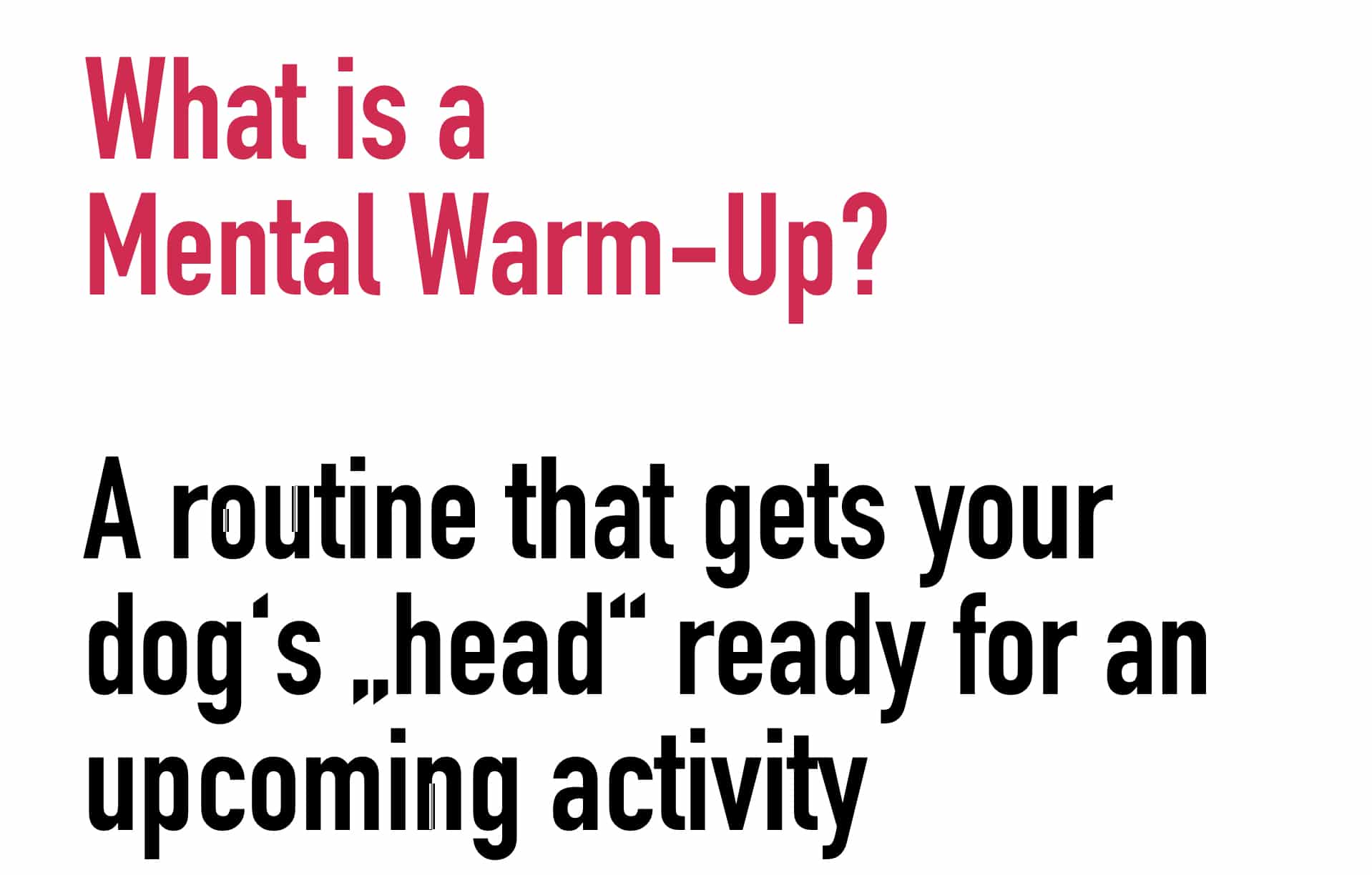 Mental WarmUp Turn on your dog’s brain