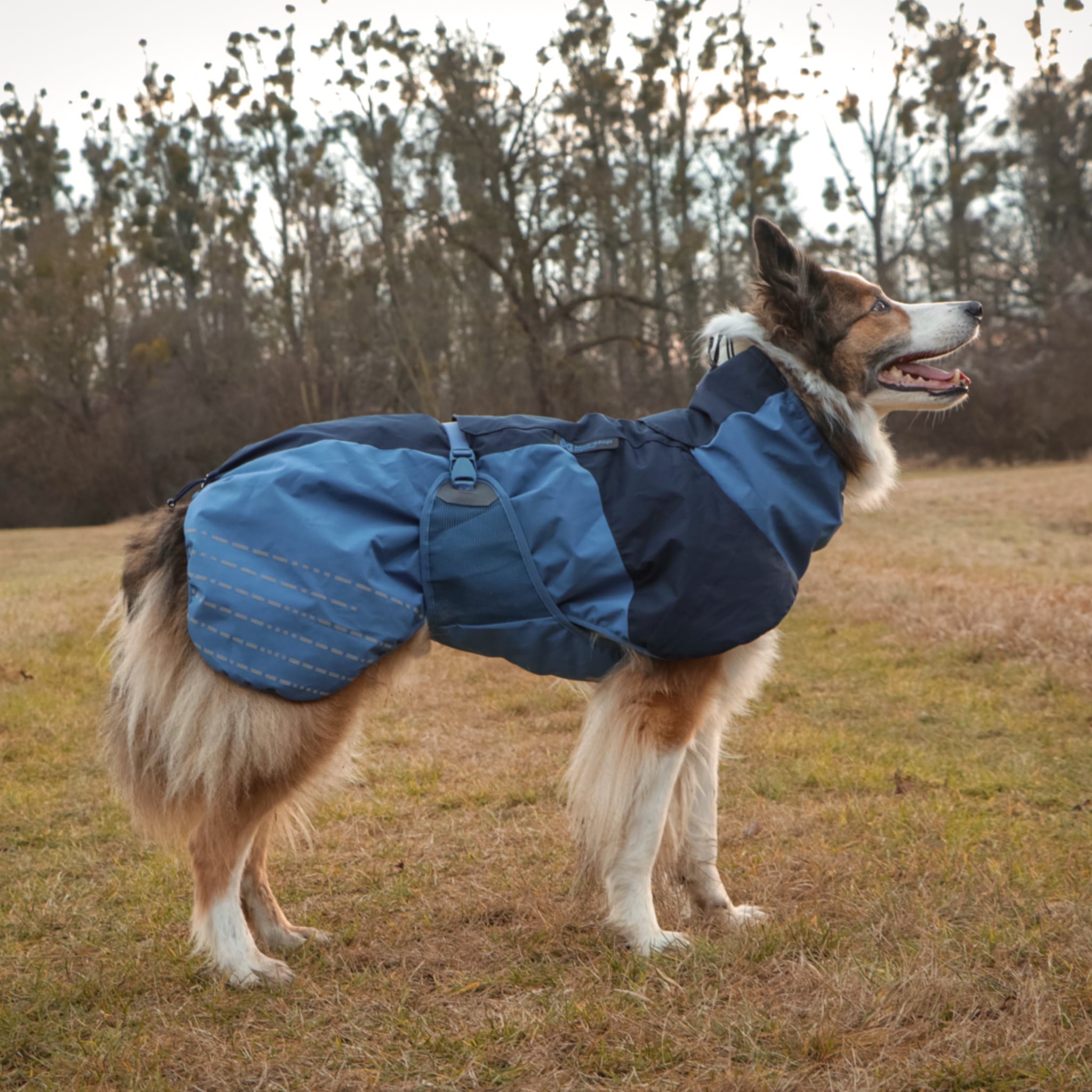 Dog Coats from NonStop Dogwear Shopping Guide