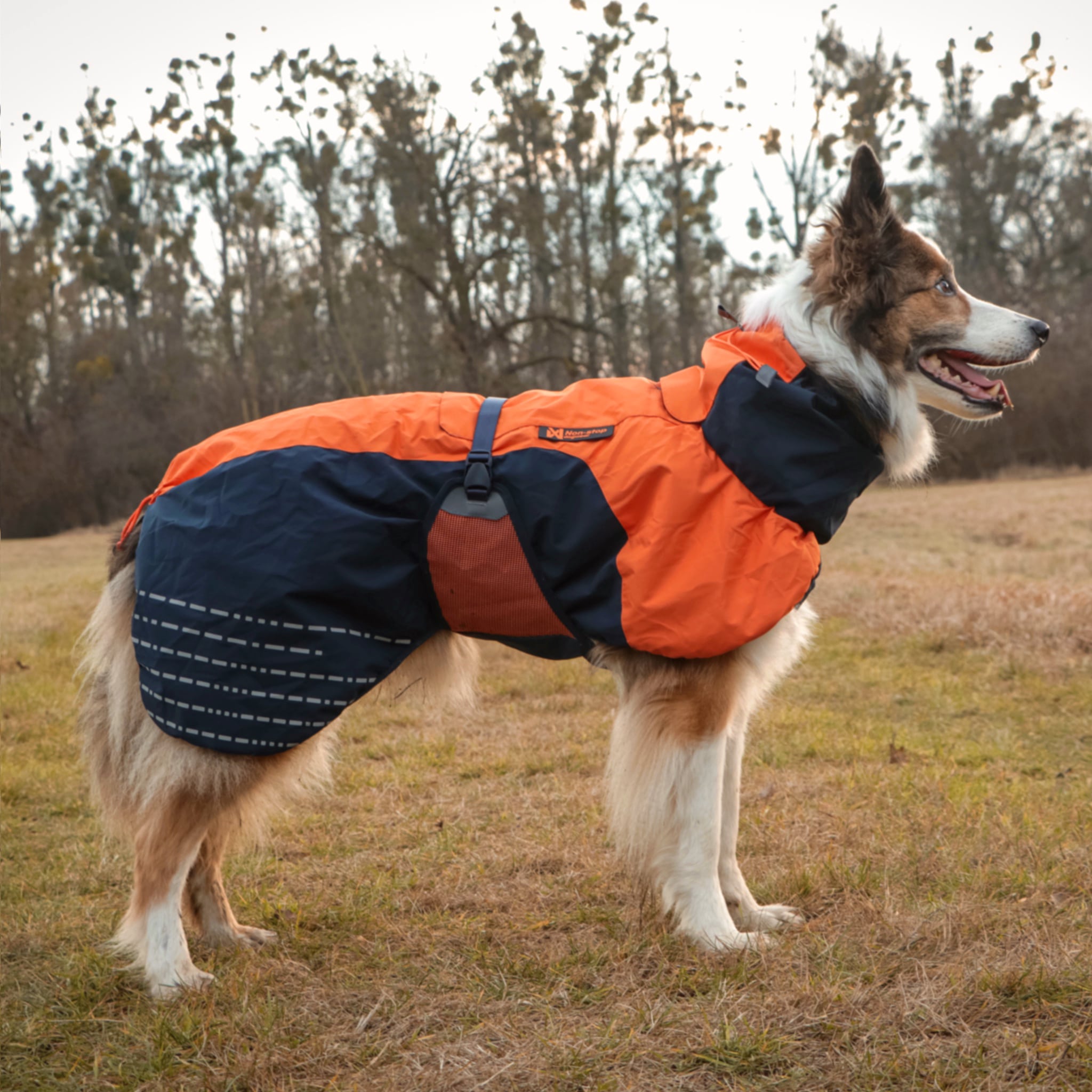 Dog Coats from NonStop Dogwear Shopping Guide