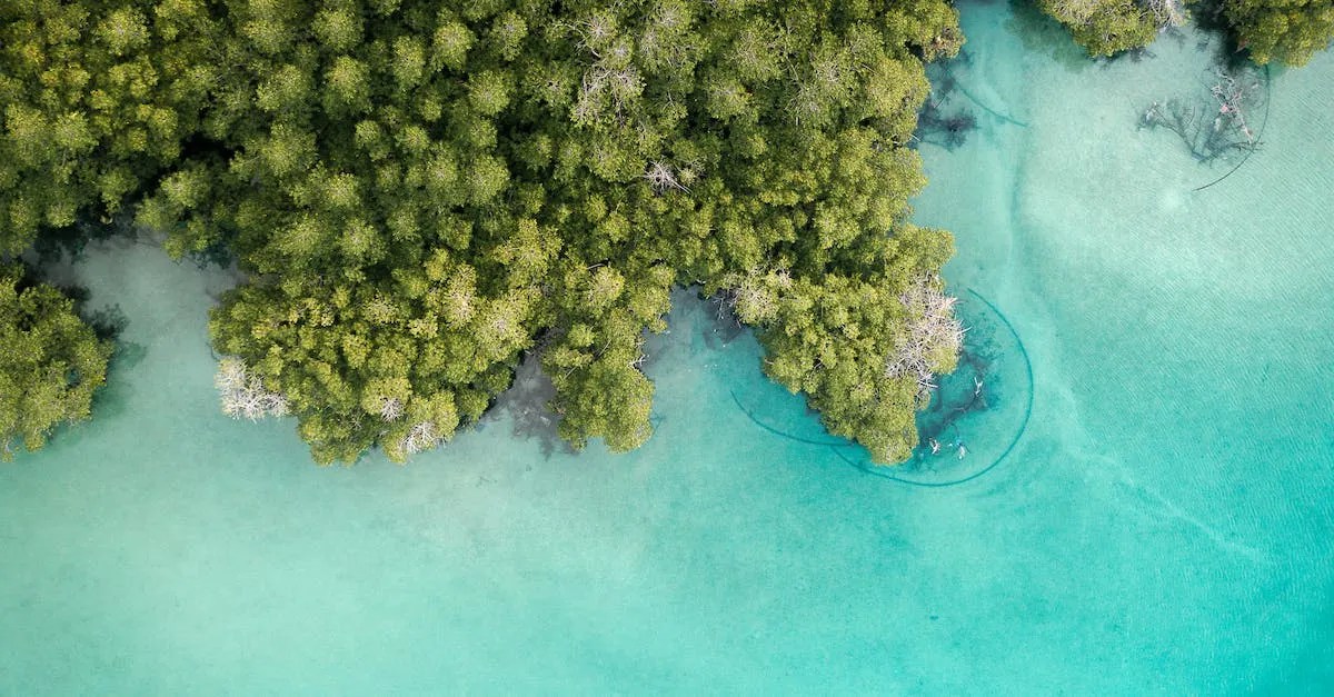 Pros And Cons Of Each Hawaiian Island Hawaii Star