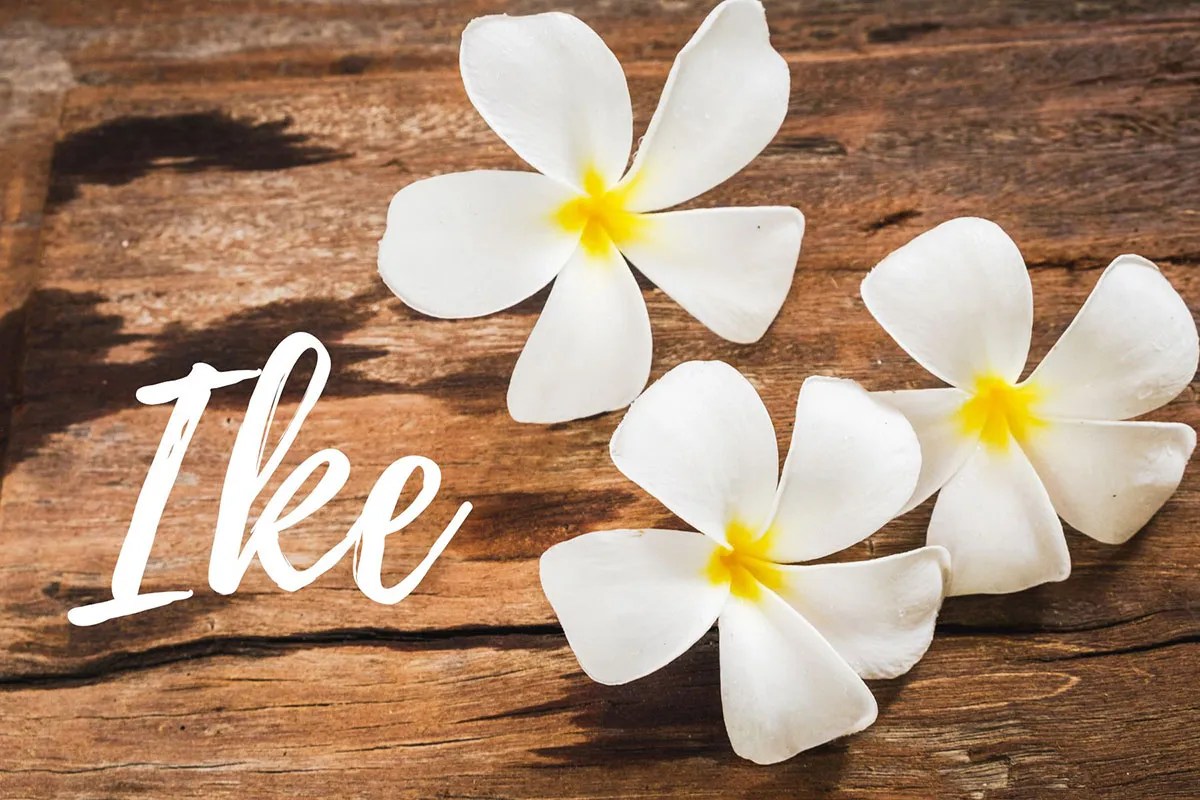 The Meaning And Origins Of The Hawaiian Word Ike Hawaii Star