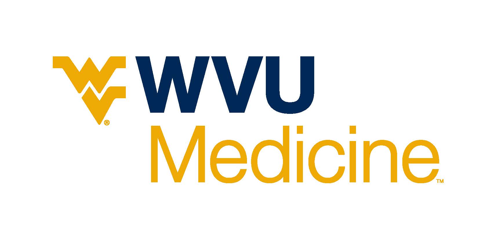 WVU Medicine HR Professional Development Portal Human Capital Institute