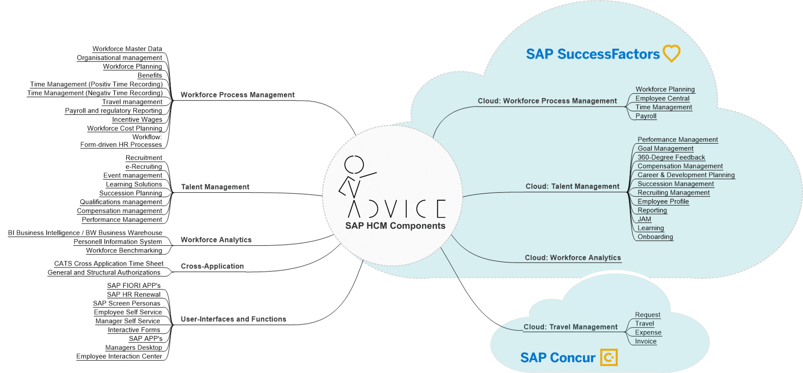 SAP_Introduction HCM ADVICE