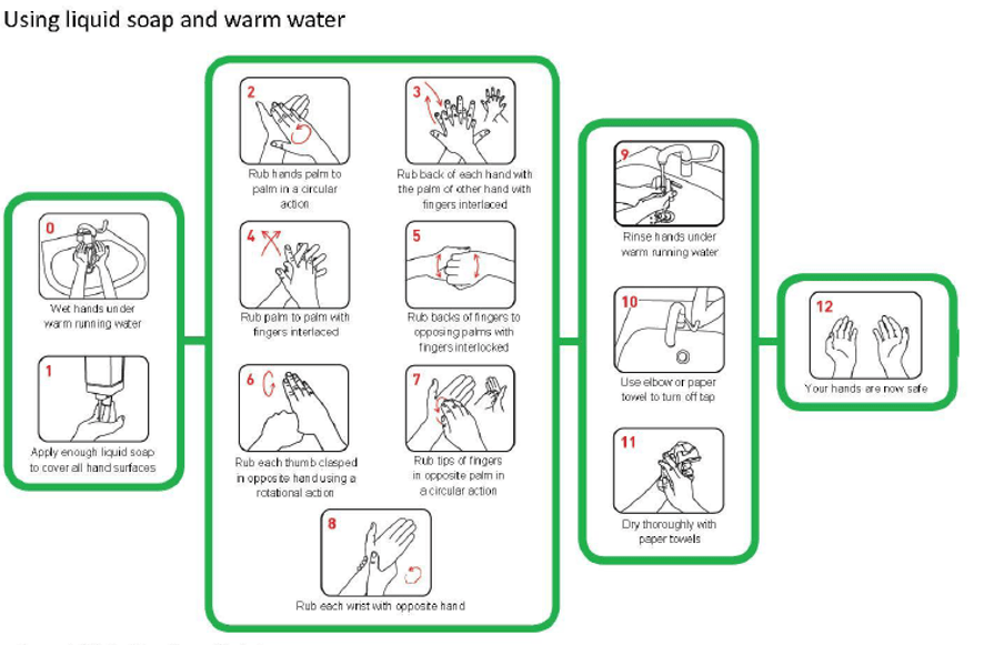CDC Hand Hygiene Quiz Printable